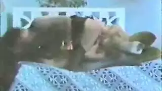 الغريب الخشن يمارس الجنس بقوة حتى ينكسر
