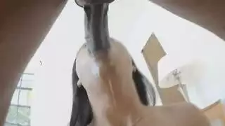 حركة قضيب اصطناعي قاسية: ليلى تأخذ أداة الحمار كاملة