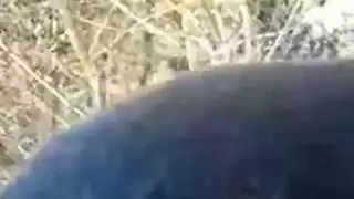 بنتي تحب تبوس زبي
