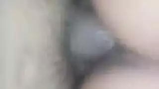 هاواي المتحول جنسيا أبيض